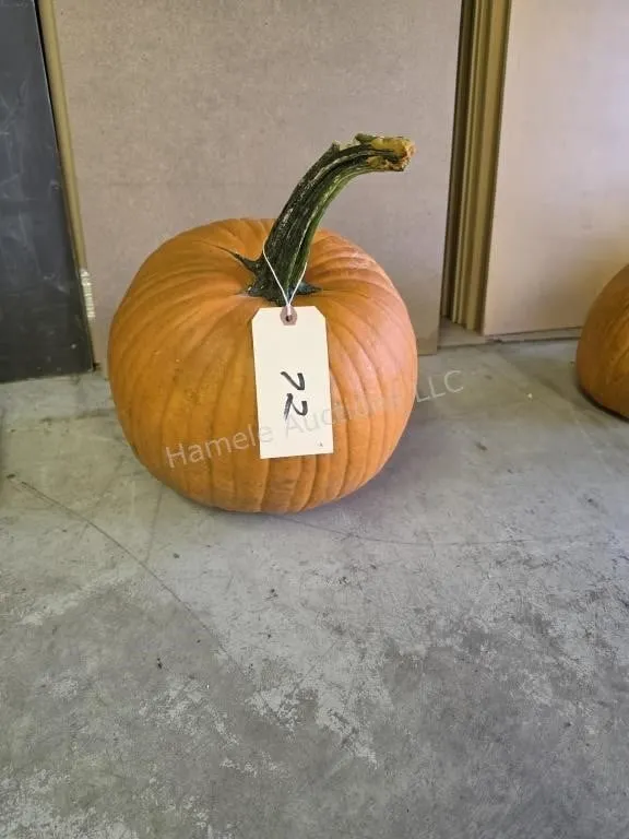 1 pumpkin