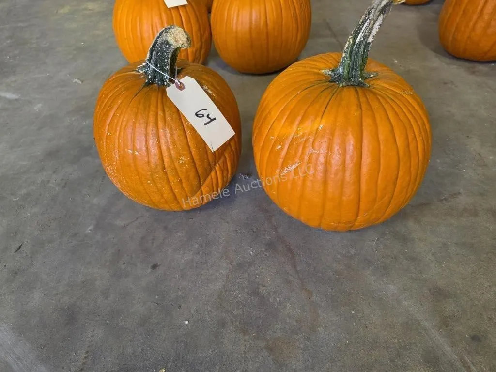 2 Pumpkins