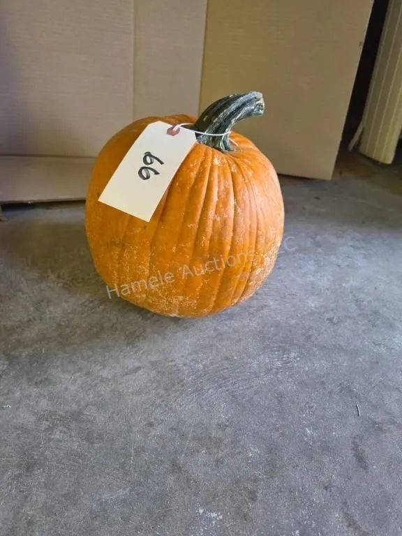 1 pumpkin