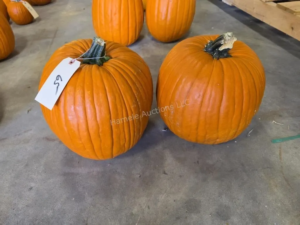 2 Pumpkins