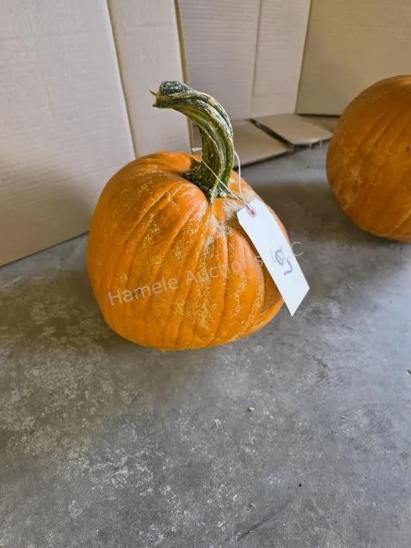 1 pumpkin
