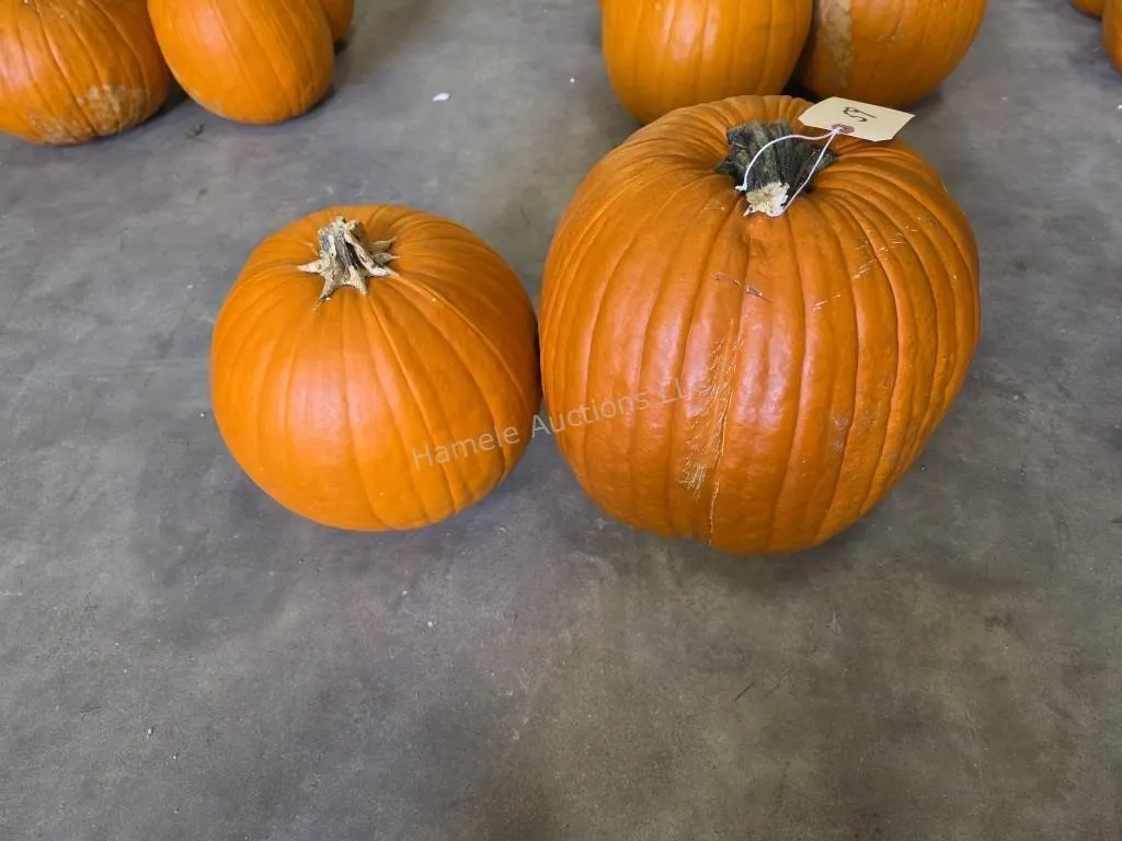 2 Pumpkins