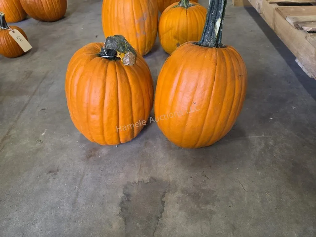 2 Pumpkins