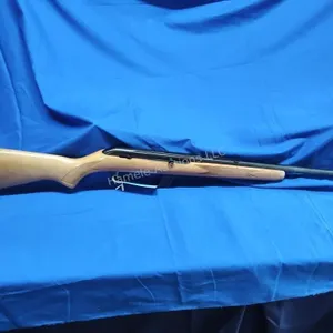 Stevens Model 954 .22LR semi auto rifle