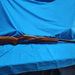 Remington Model 550-1 .22LR semi auto rifle