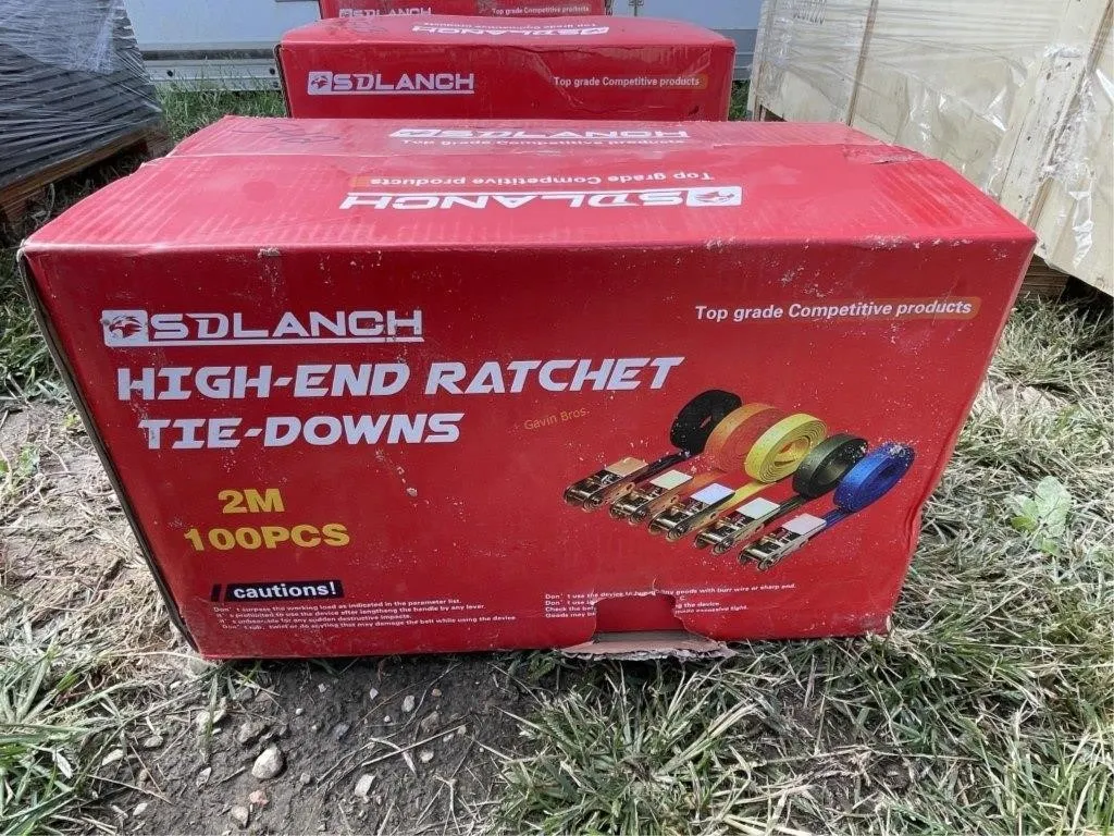 100pcs 2M Ratchet Straps