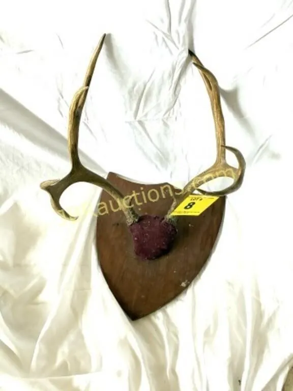 ANTLERS