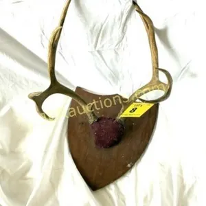 ANTLERS