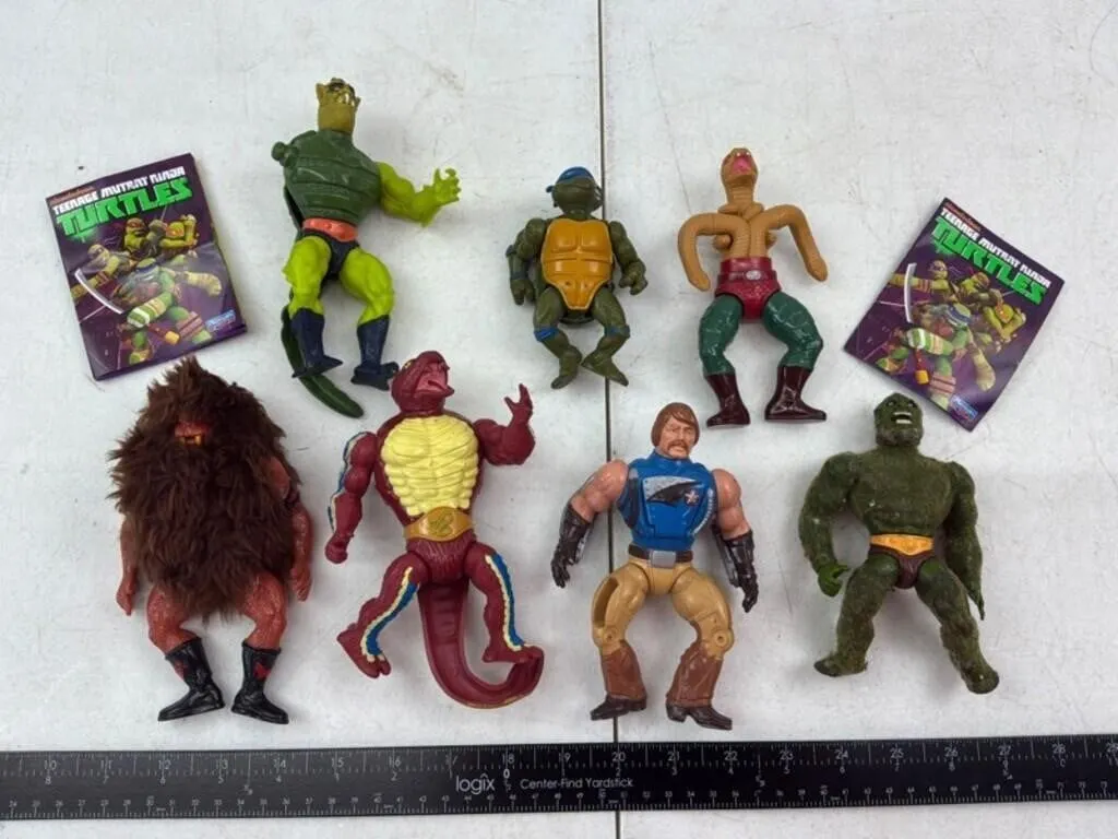 TMNT Action Figures & Cases (Lot of 10)