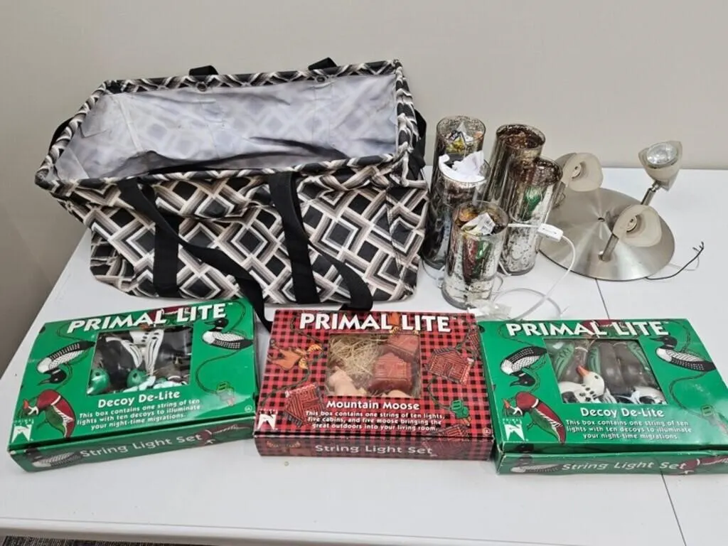 Primal Lite Lights & Glass Fixtures (Lot of 8)