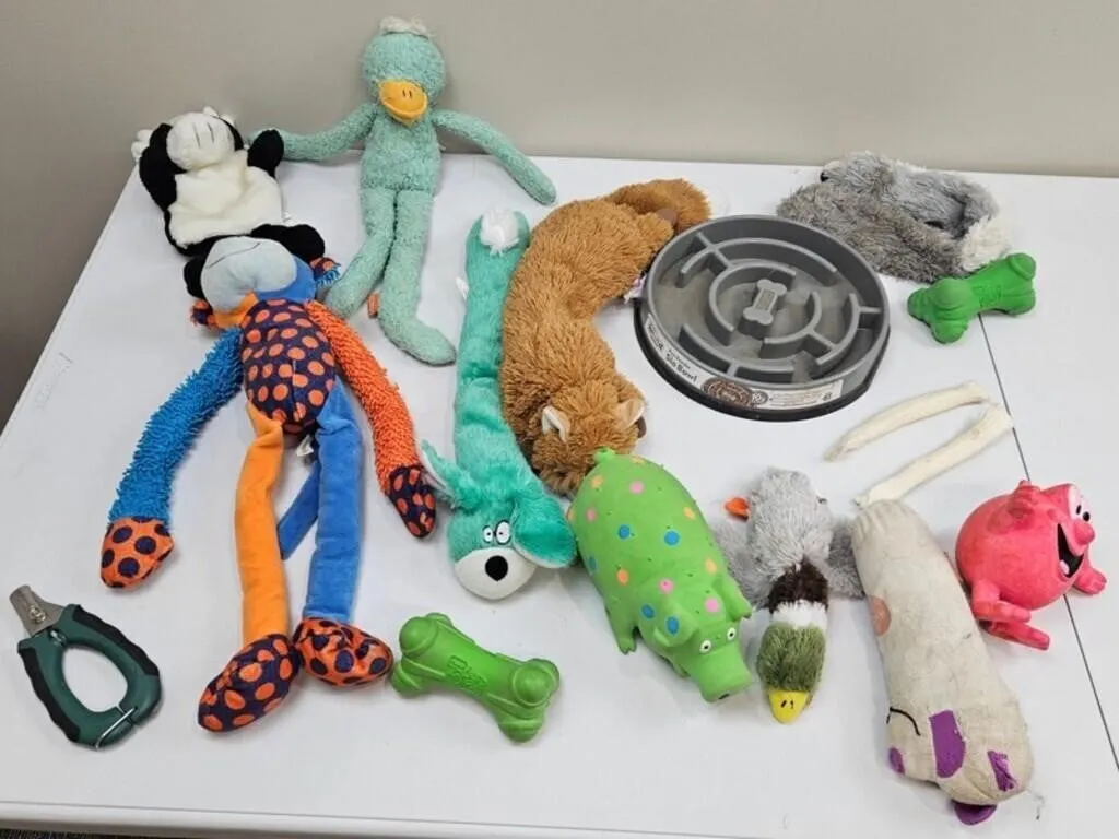Mixed Dog Toys & Accessories (17pc)