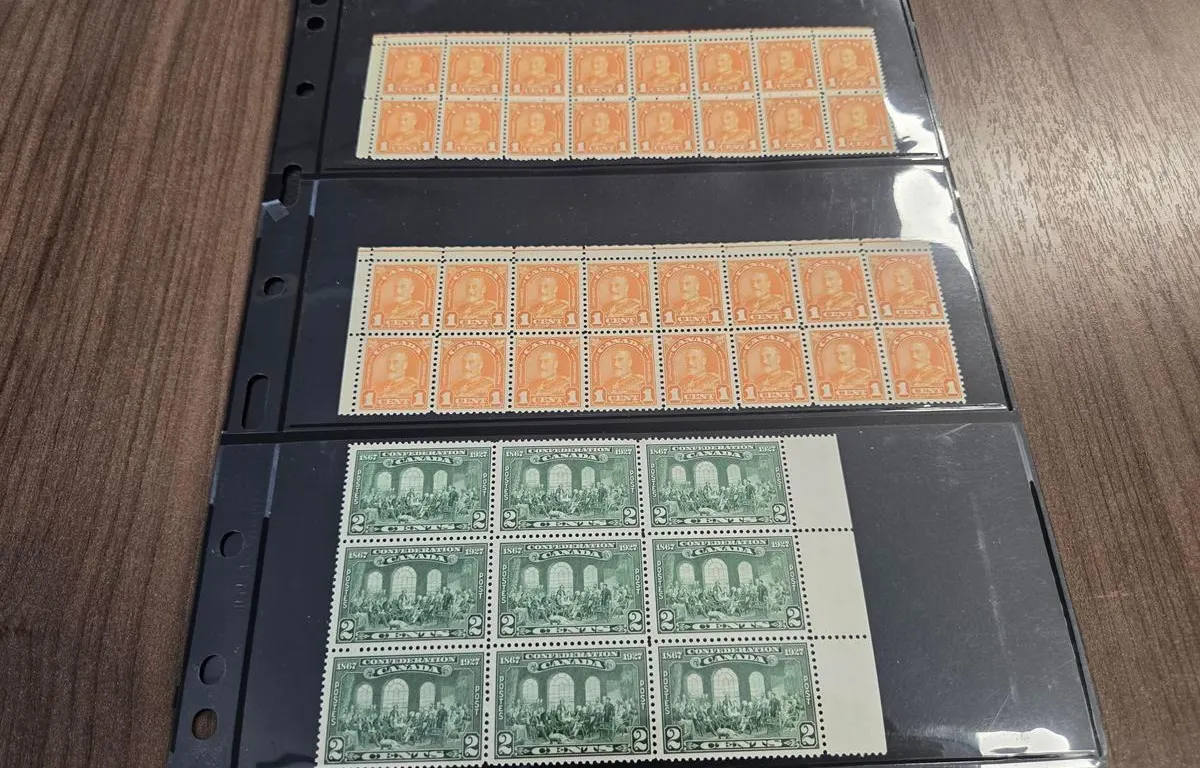 (4 Pages - 6 Sides) Canada Collection of Older Blocks & Strips of Postage Stamps (Never Hinged)
UNRESERVED
