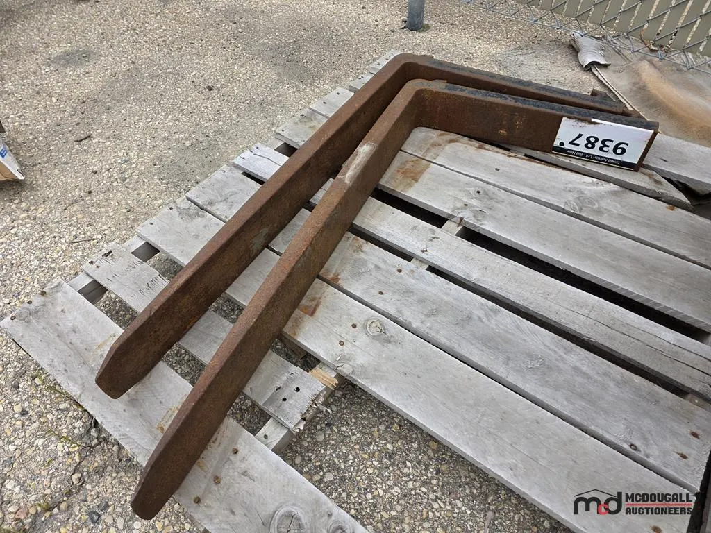 Pair of Forklift Forks
UNRESERVED
