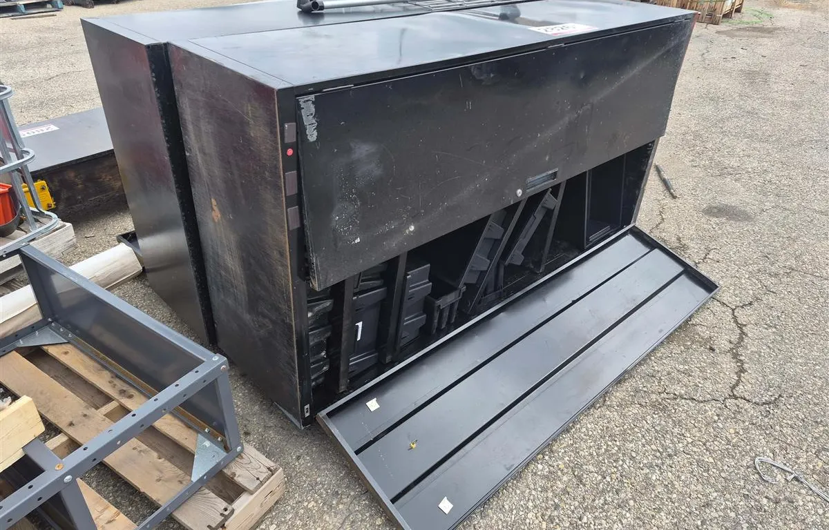 (2) Steel Storage Cabinets w/ Plastic Bins
UNRESERVED