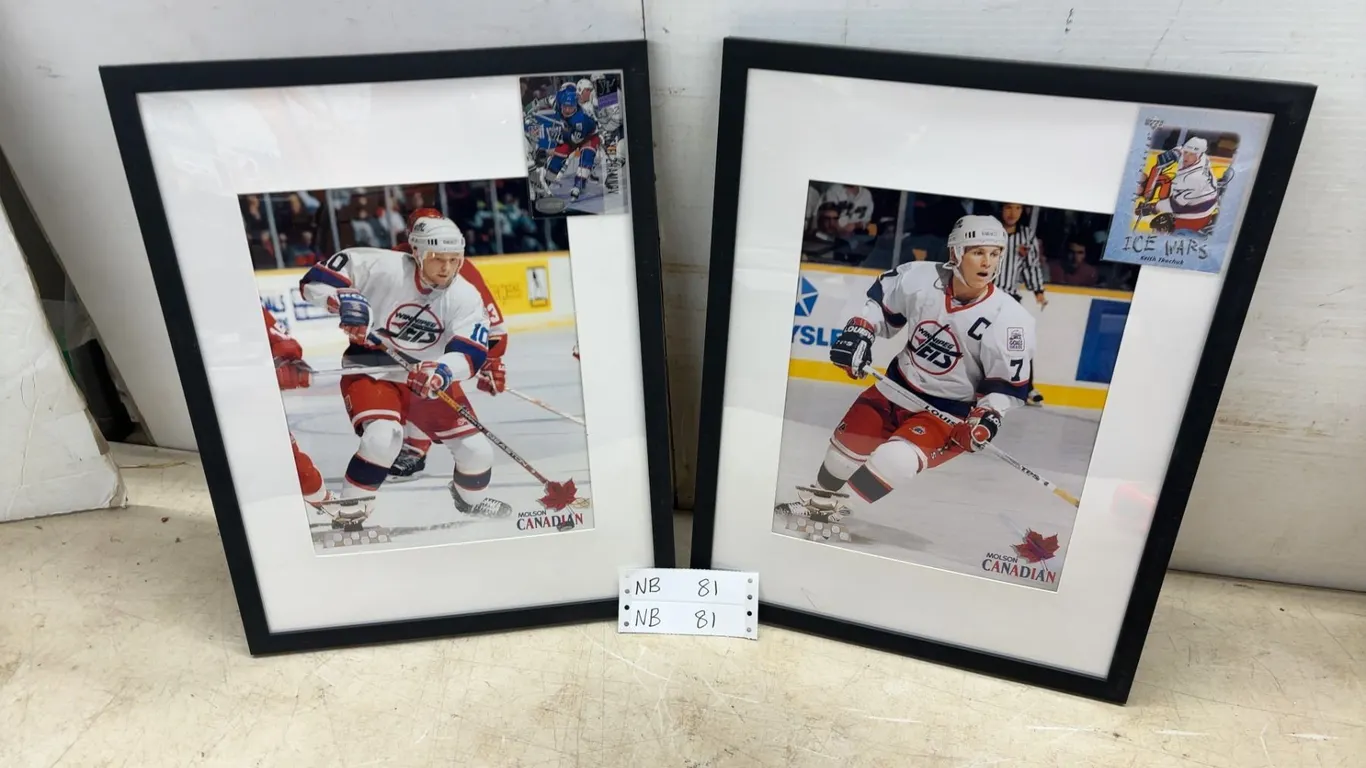 Two 17 × 13 Framed Winnipeg Jets Hockey Player Photos with Trading Cards: Teemu Selanne and Keith