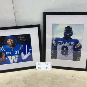 Two 15 × 12 Framed and Autographed Wpg Blue Bombers Player Photos: Brandon Alexander #37 and