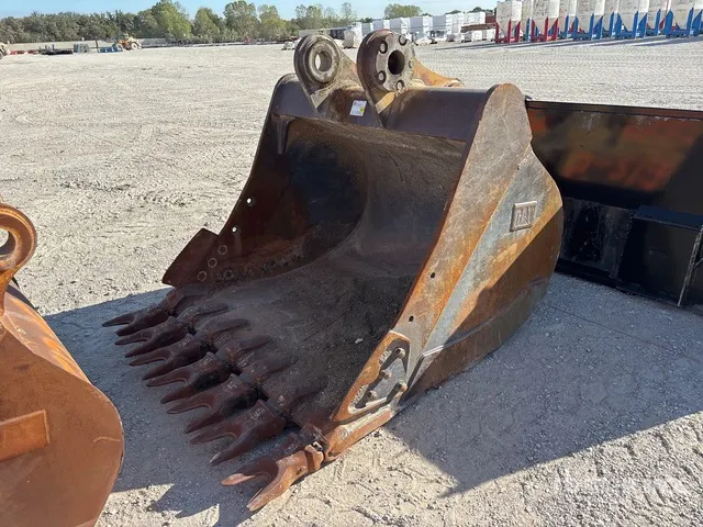 Cat 66 in Digging Excavator Bucket