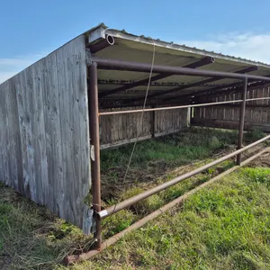 CALF SHELTER