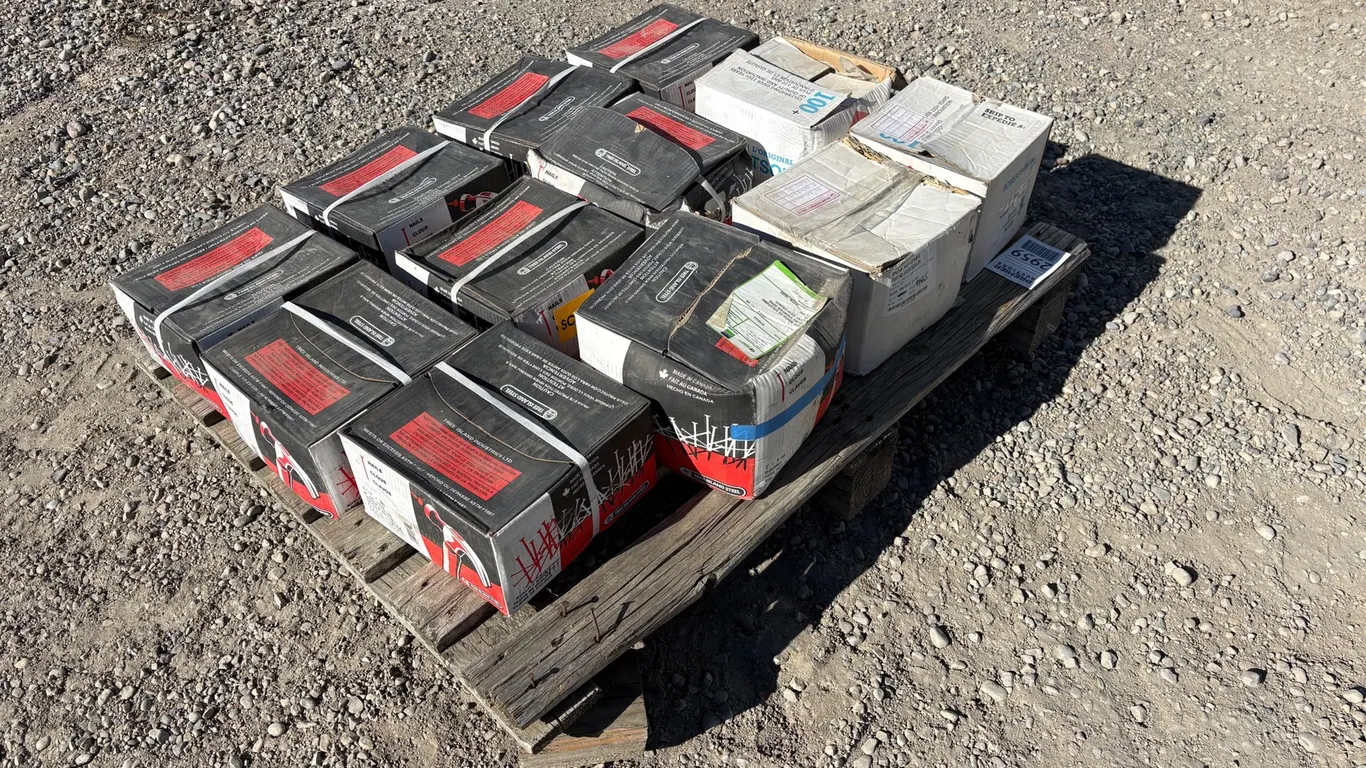 (12) Boxes of Nails and Screws