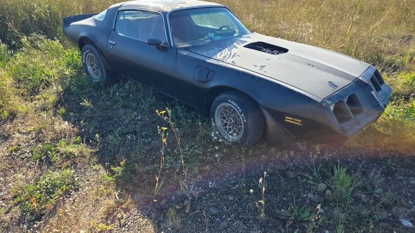 *OFFSITE* 1980 Pontiac firebird Trans AM LE- vin: 2W87TAN130116-