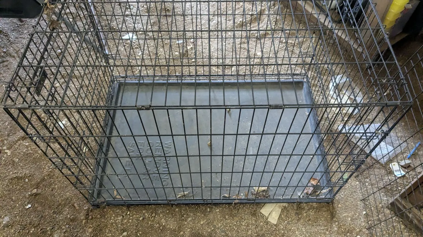 XXL Folding Dog Kennel w/ Divider – 29”x 42”x 32”h