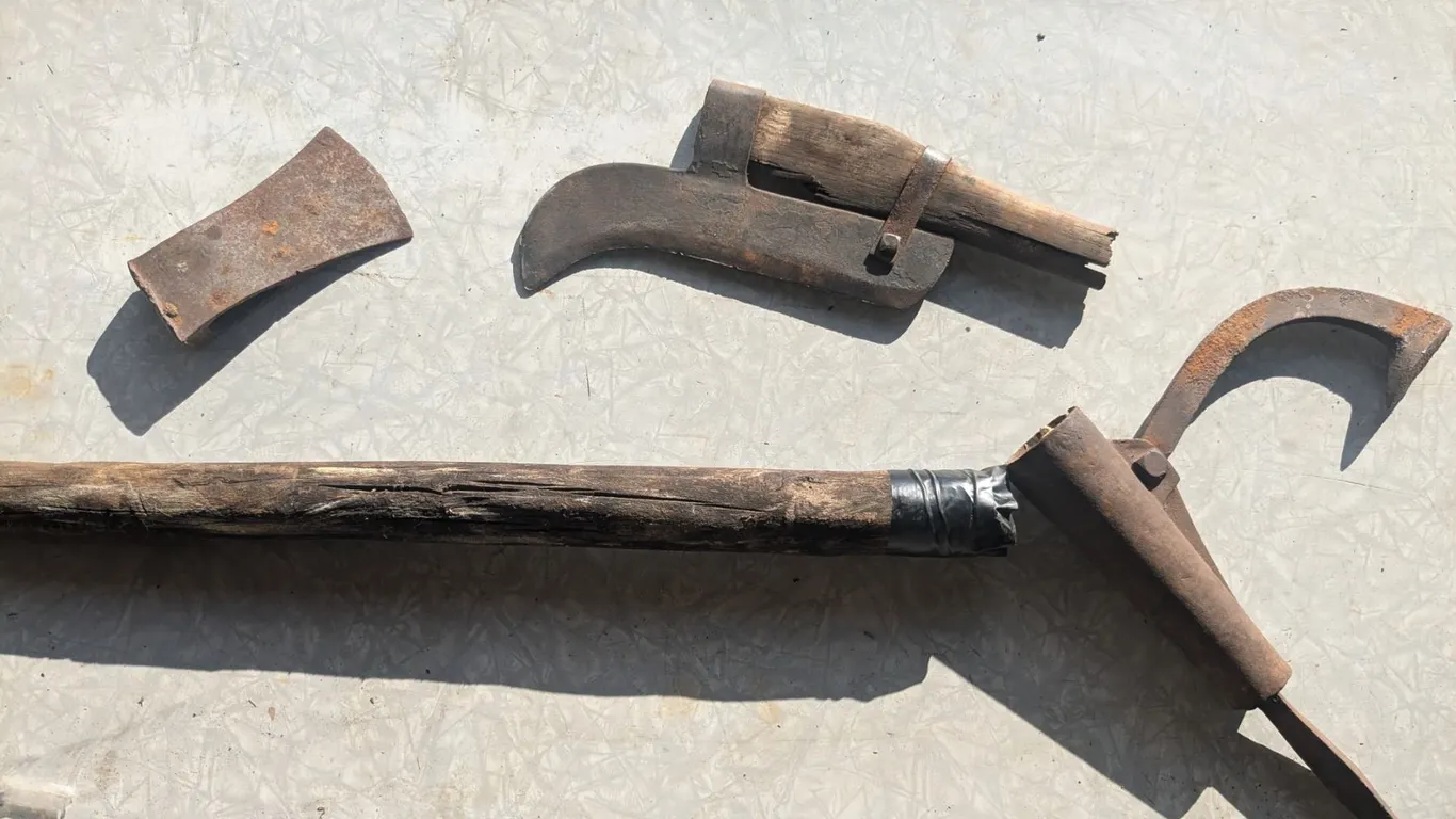 Vintage Logging Tool Lot – Cant Hook, Brush Axe Head, Axe Head