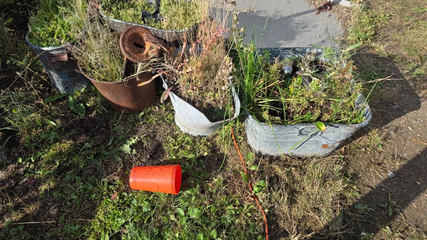 *OFFSITE* Galvanized Flower Buckets