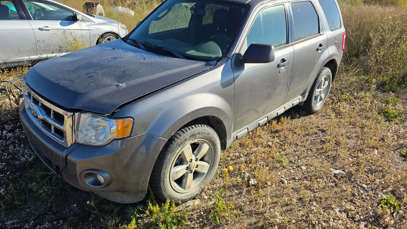 *OFFSITE* 2011 Ford escape- 1FMCU9DG2BKB37358-