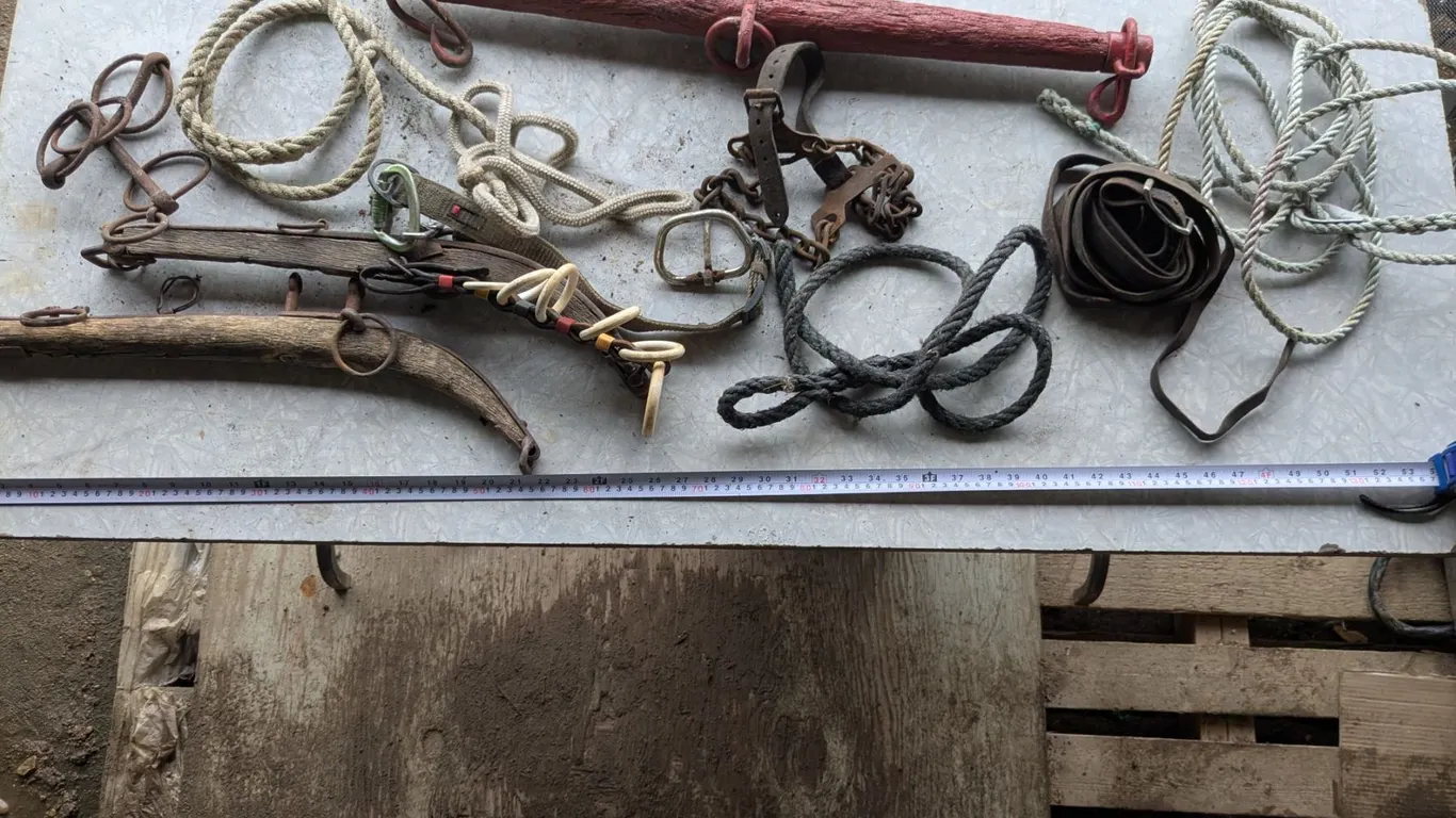 Vintage Horse Tack Lot, Milk Crate