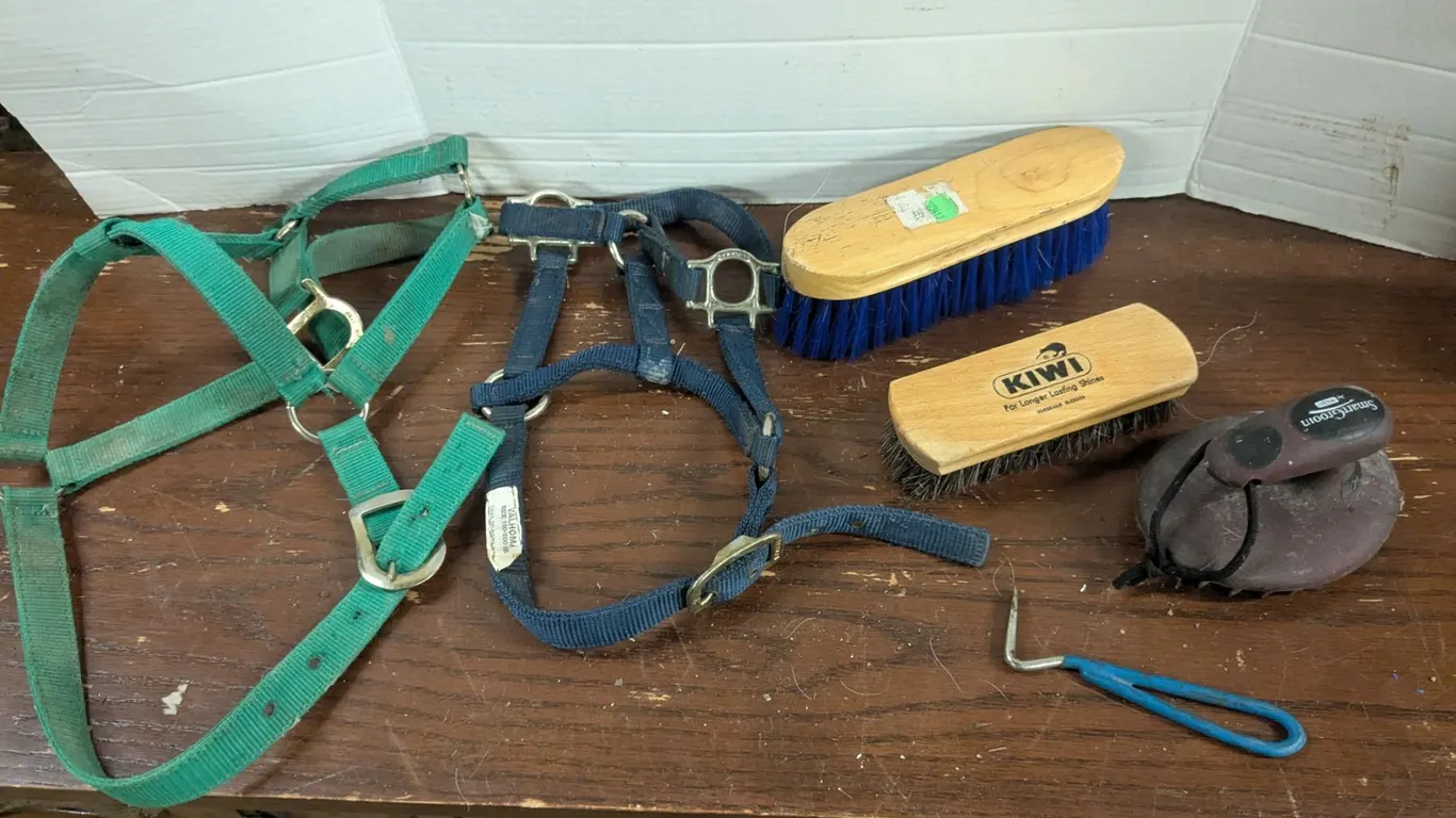 Horse Tack Lot inc. Halters, Brushes, Hoof Pic