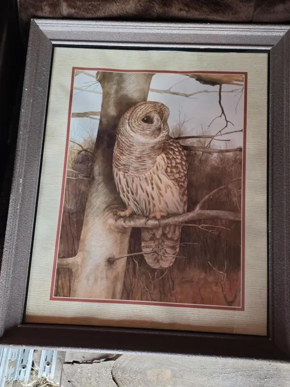 Framed Owl Print, 18.5”x 22.5”