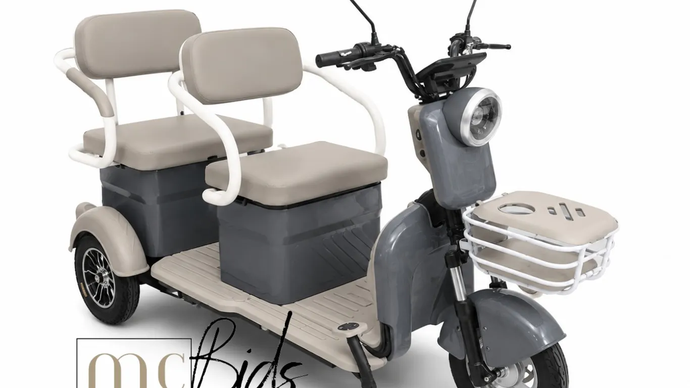 Unassembled IRGC40 High End Mini Golf Cart (Colour: Grey & Beige)