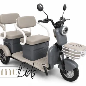 Unassembled IRGC40 High End Mini Golf Cart (Colour: Grey & Beige)