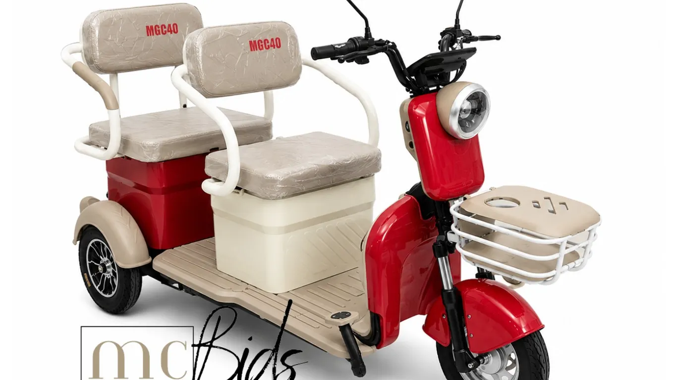Unassembled IRGC40 High End Mini Golf Cart (Colour: Red & Grey)