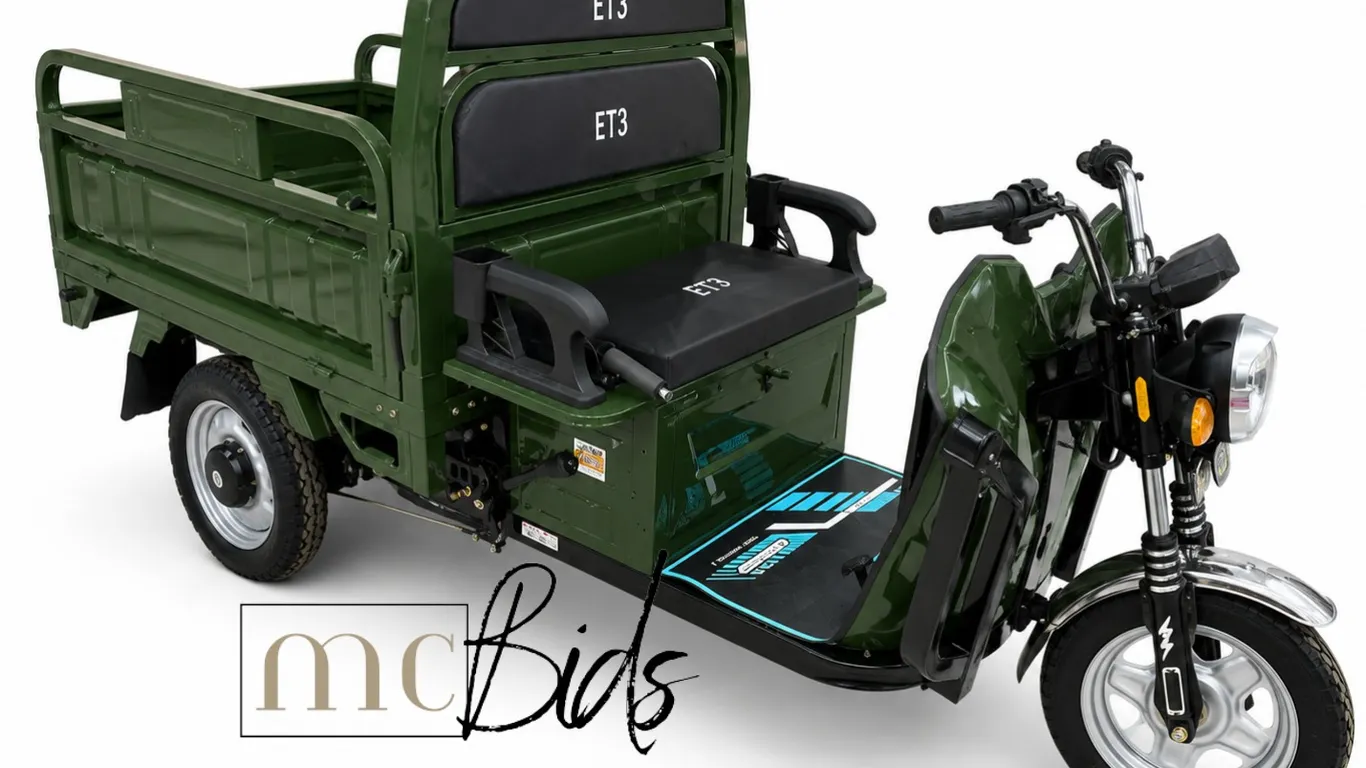 IRET13 Electric Dump Box Tricycle (Colour: Green)