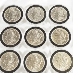 Lot of (9) 1921 Morgan Silver Dollars