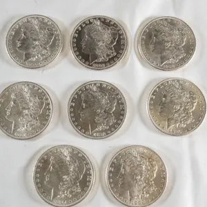 Lot of (8) Morgan Silver Dollars