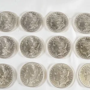 Lot of (12) Morgan Silver Dollars