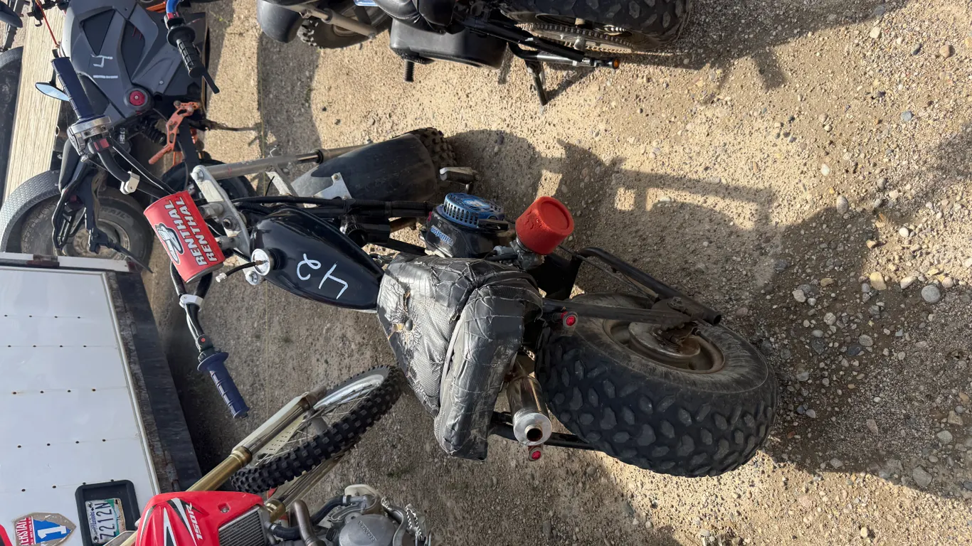 PRINCESS AUTO BIKE