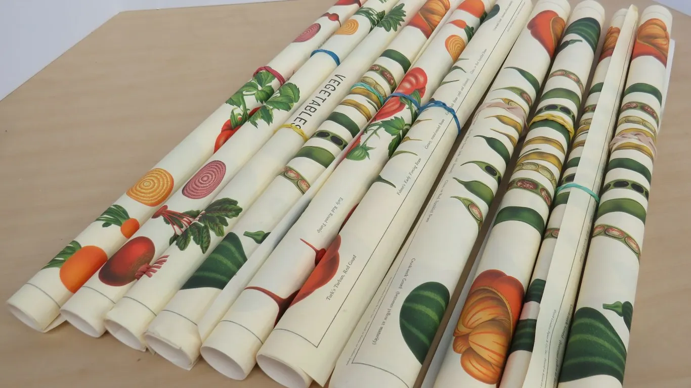 Vegetable Posters