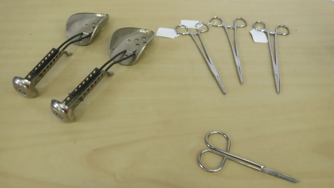Shoe Lasts and Scissors