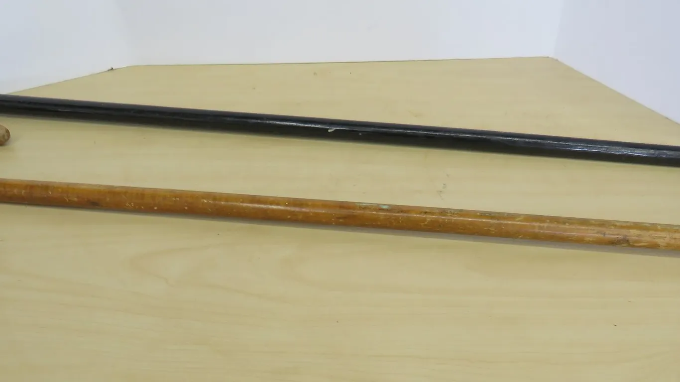 Cane and Walking Stick