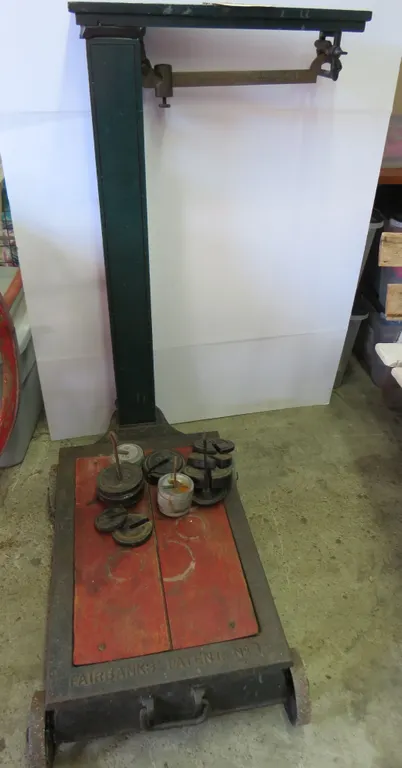 Platform Scale