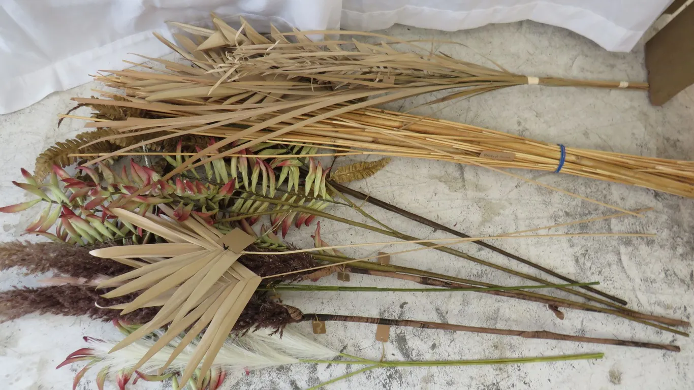 Dried Flowers