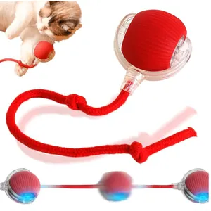Interactive Rolling Dog Ball,  Dog Toys Interactive Cat Toys Automatic Toy Self Moving Rechargeable