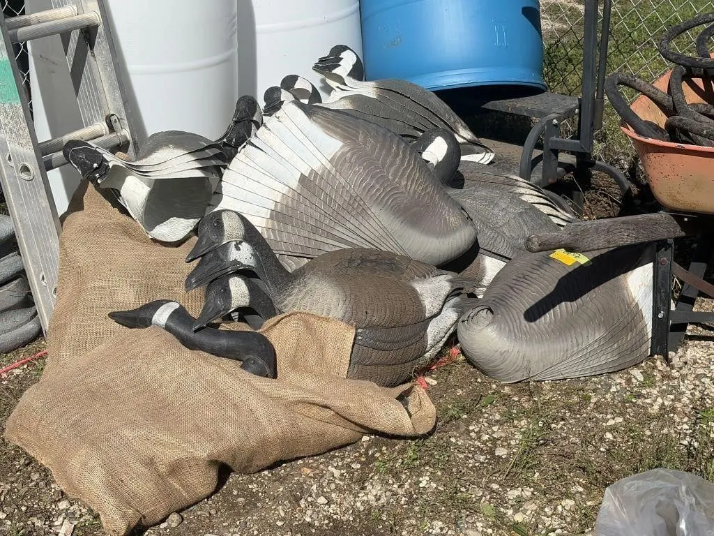 Various Geese Decoys - Some broken