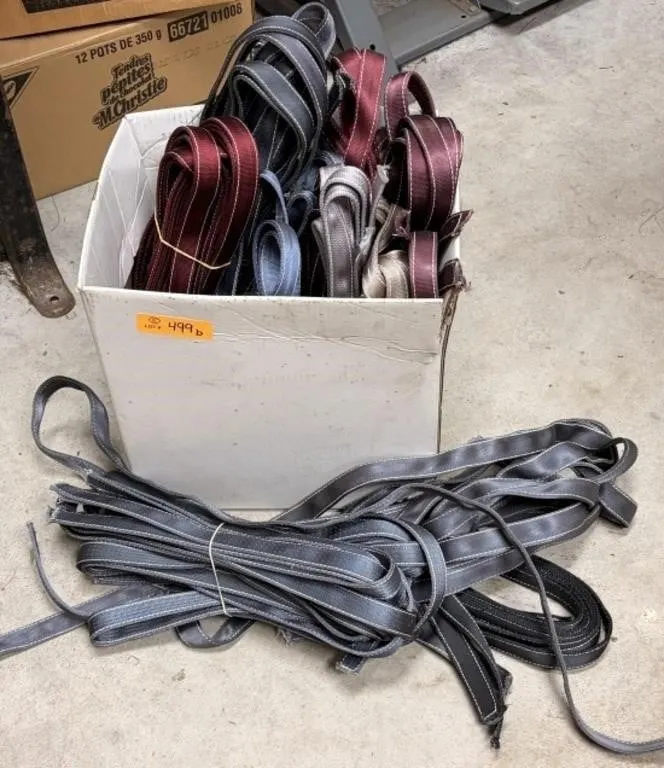 Strapping- Harness/Lead etc