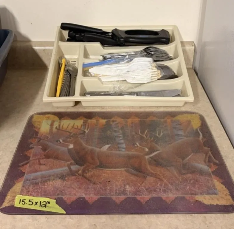 Kitchen uteneils/flatware in cutlery sorter &