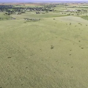 Tract 2 187.27+/- acre CRP Tract in Lamb County