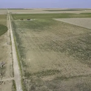 Tract 4 220+/- acre Dryland Tract in Bailey County